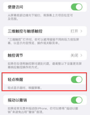 阳西苹果授权维修站分享iPhone轻点无法唤醒怎么办 