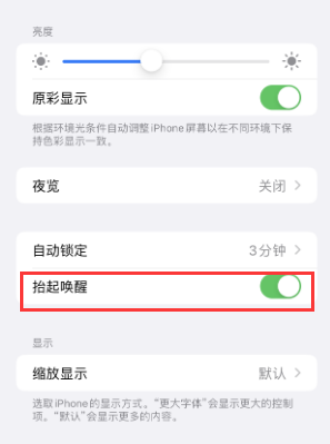 阳西苹果授权维修站分享iPhone轻点无法唤醒怎么办