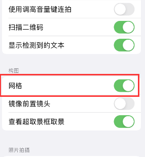 阳西苹果手机维修网点分享iPhone如何开启九宫格构图功能