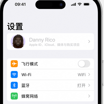 阳西appleID维修服务iPhone设置中Apple ID显示为灰色无法使用 