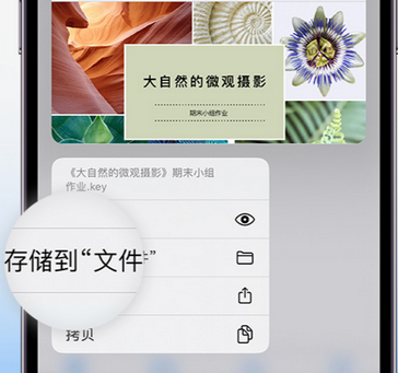 阳西apple维修中心分享iPhone文件应用中存储和找到下载文件