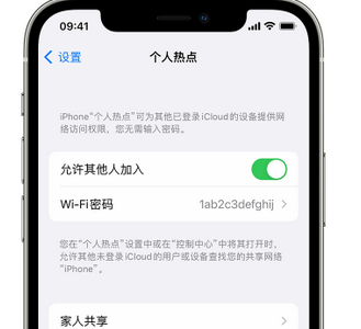 阳西apple服务站点分享iPhone上个人热点丢失了怎么办 