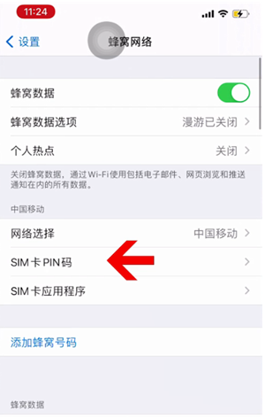 阳西苹果14维修网分享如何给iPhone14的SIM卡设置密码 