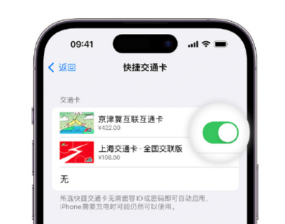 阳西apple维修点分享iPhone上更换Apple Pay快捷交通卡手绘卡面 