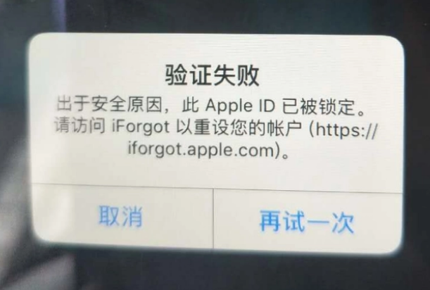 阳西iPhone维修分享iPhone上正常登录或使用AppleID怎么办 