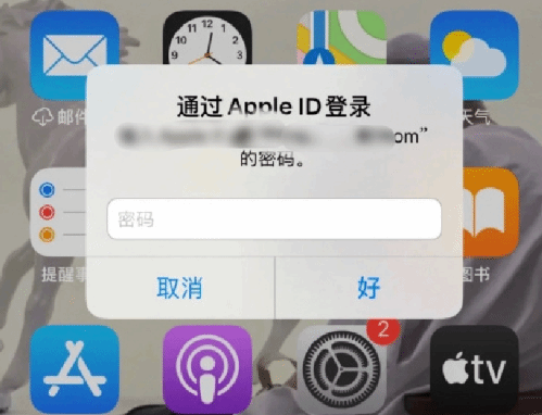 阳西苹果设备维修分享无故多次要求输入AppleID密码怎么办 