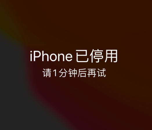 阳西苹果手机维修分享:iPhone 显示“不可用”或“已停用”怎么办？还能保留数据吗？ 