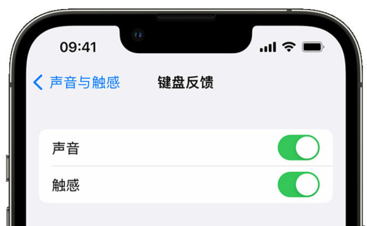 阳西苹果手机维修分享iPhone 14触感键盘使用方法 