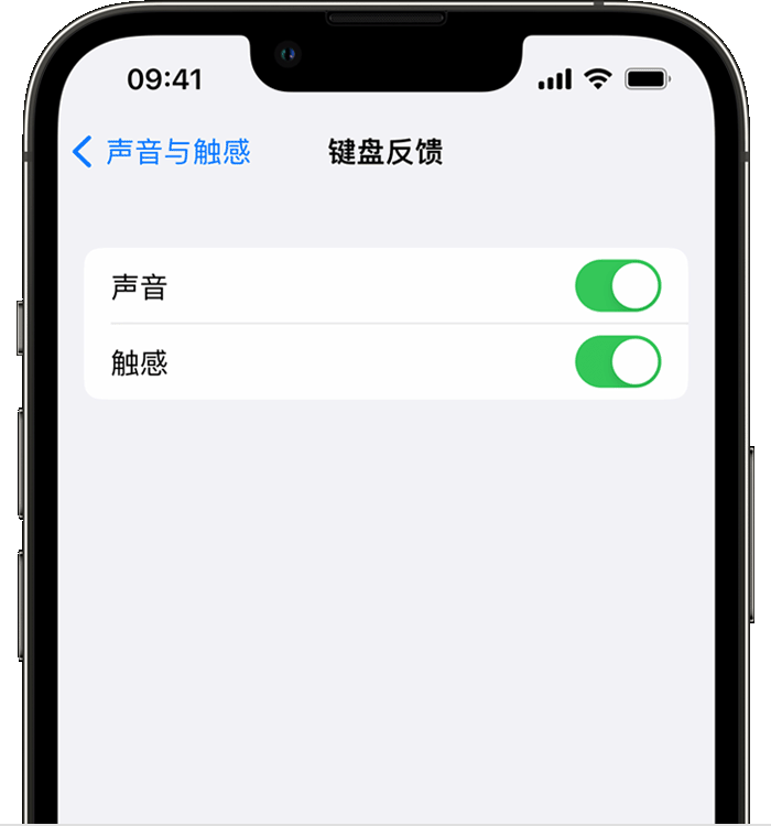 阳西苹果14维修店分享如何在 iPhone 14 机型中使用触感键盘 