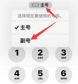 阳西苹果14维修店分享iPhone 14 Pro Max使用副卡打电话的方法 