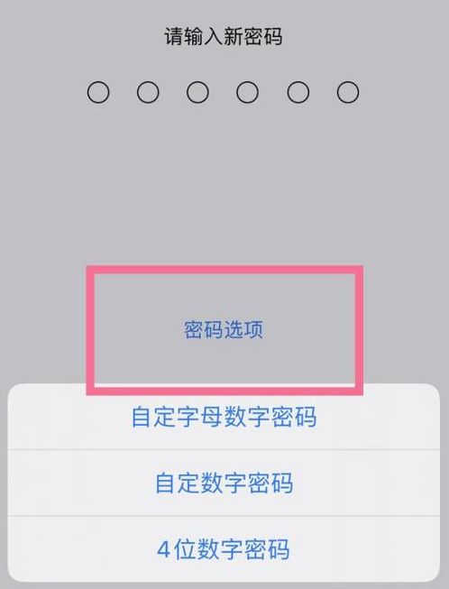 阳西苹果14维修分享iPhone 14plus设置密码的方法 