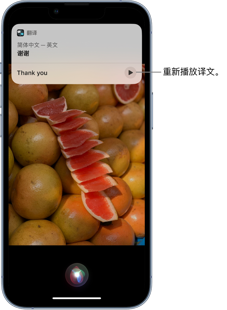 阳西苹果14维修分享 iPhone 14 机型中使用 Siri：了解 Siri 能帮你做什么 