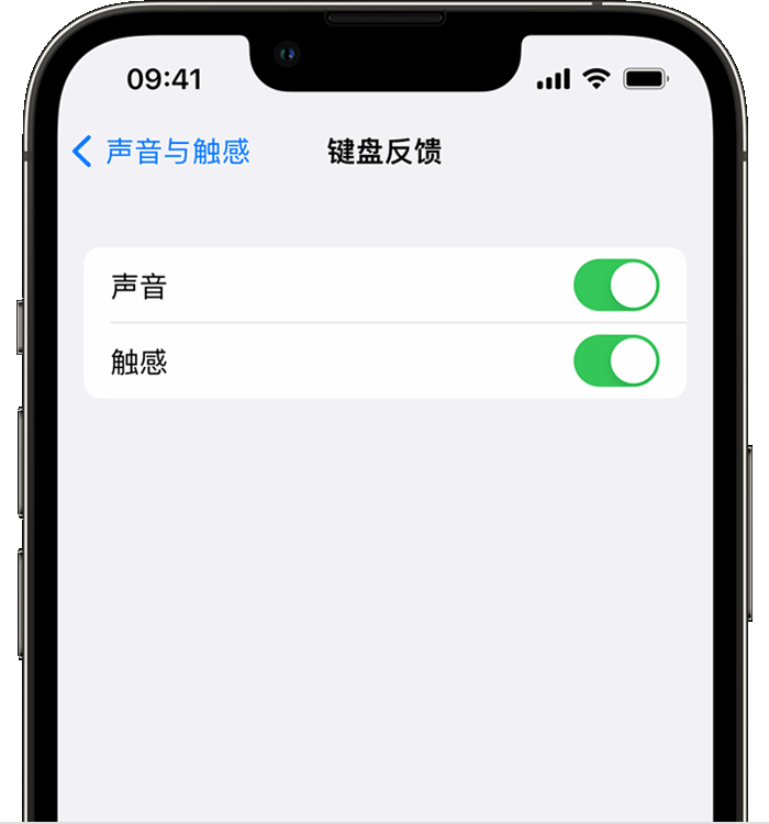 阳西苹果14维修分享iPhone 14 系列机型如何开启键盘声音或触感反馈 