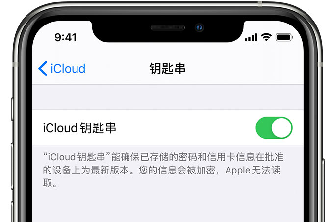 阳西苹果手机维修分享在 iPhone 上开启 iCloud 钥匙串之后会储存哪些信息 