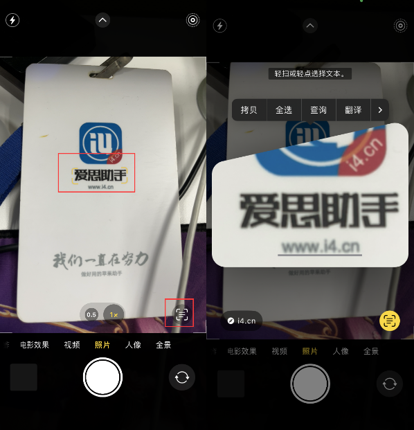 阳西苹果手机维修分享升级iOS 16后如何通过相机翻译文本 