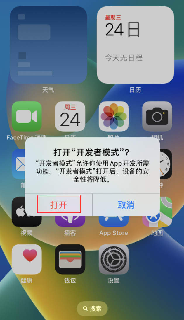 阳西苹果手机维修分享如何打开开发者模式 