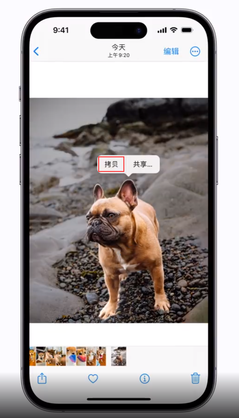 阳西苹果手机维修分享 iOS 16 自带一键抠图功能 