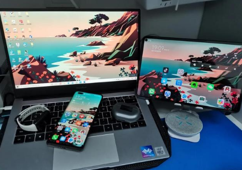 阳西苹果手机维修分享为什么iPad屏幕更大价格却比iPhone低 
