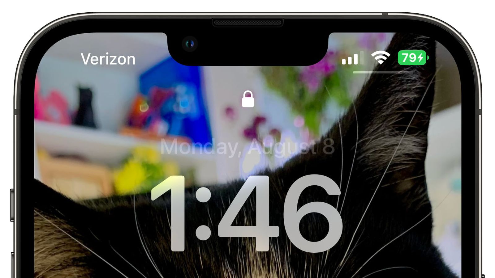 阳西苹果手机维修分享iOS 16 beta 5 支持状态栏显示电池百分比，如何开启？支持哪些机型 