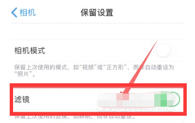 阳西苹果13维修分享iPhone13拍照有绿点是怎么回事 