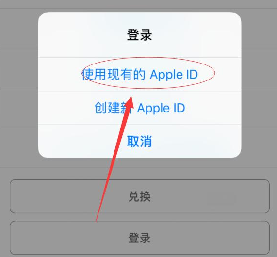 阳西苹果手机维修分享两台iPhone设备可以同时登录一个Apple ID吗 