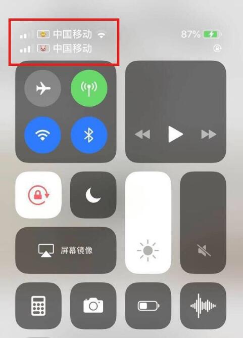 阳西苹果手机维修分享为 iPhone 12 双卡设置标签 