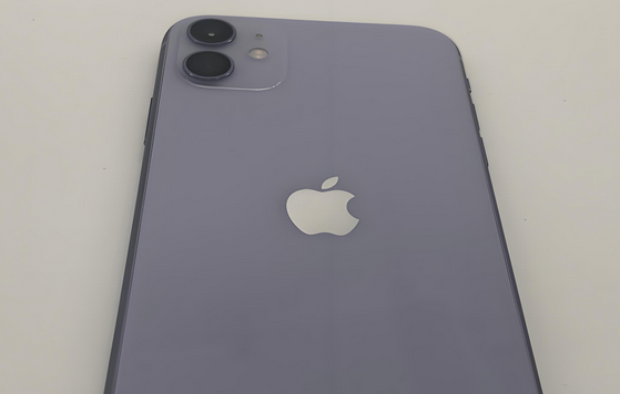 阳西苹果11系统维修分享iPhone11手机系统崩溃无法开机如何解决