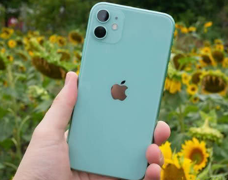 阳西苹果维修点分享iPhone 11锁屏密码认知与使用科普 